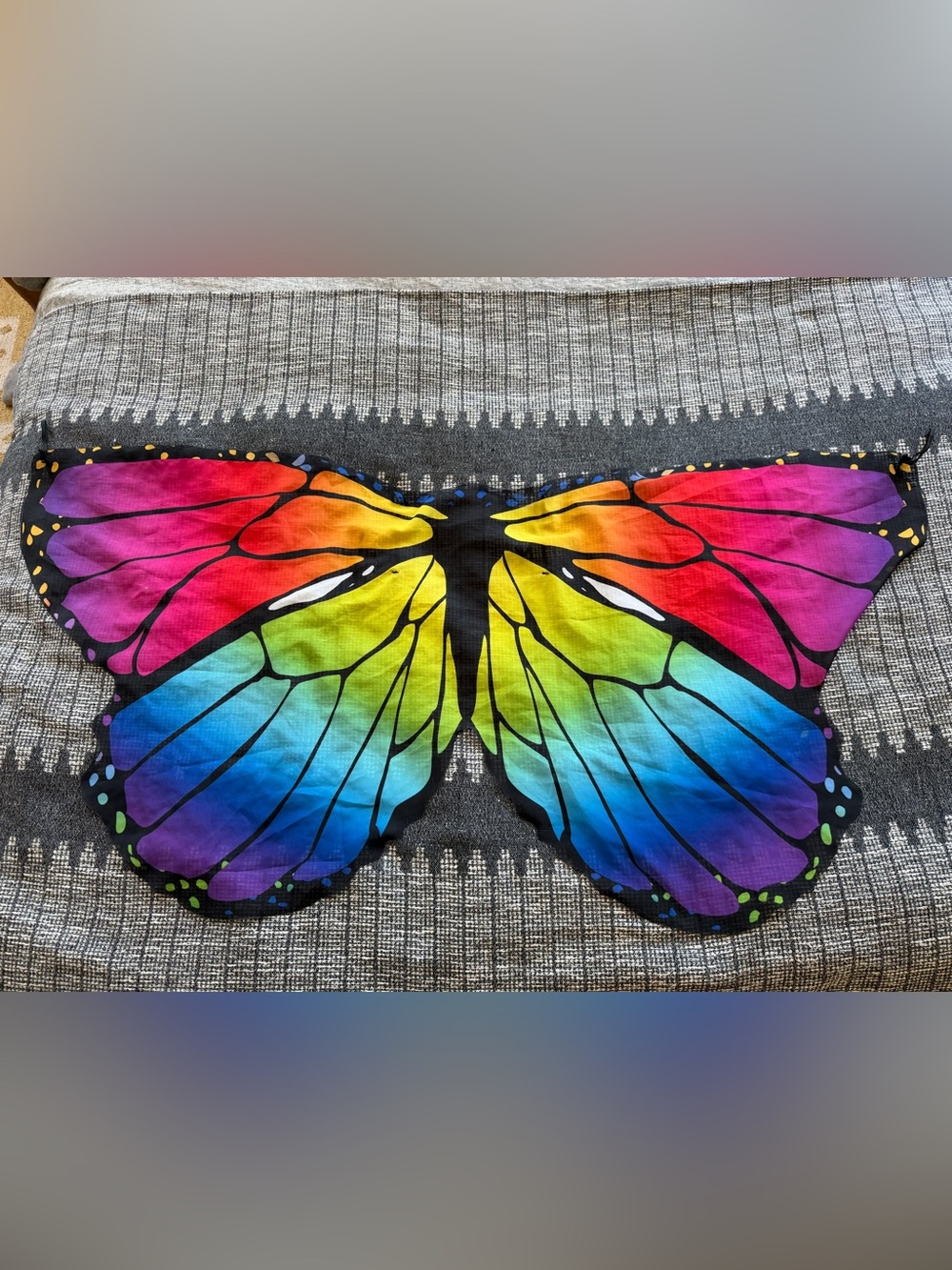 Colorful Rainbow Butterfly Wings dress up